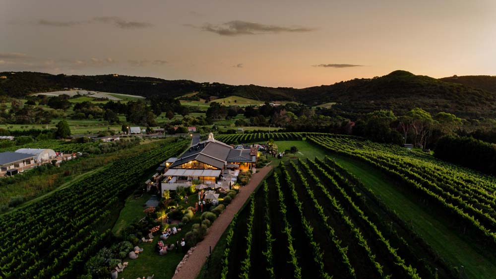 Tantalus, a family owned estate vineyard on New Zealand’s beautiful Waiheke Island.