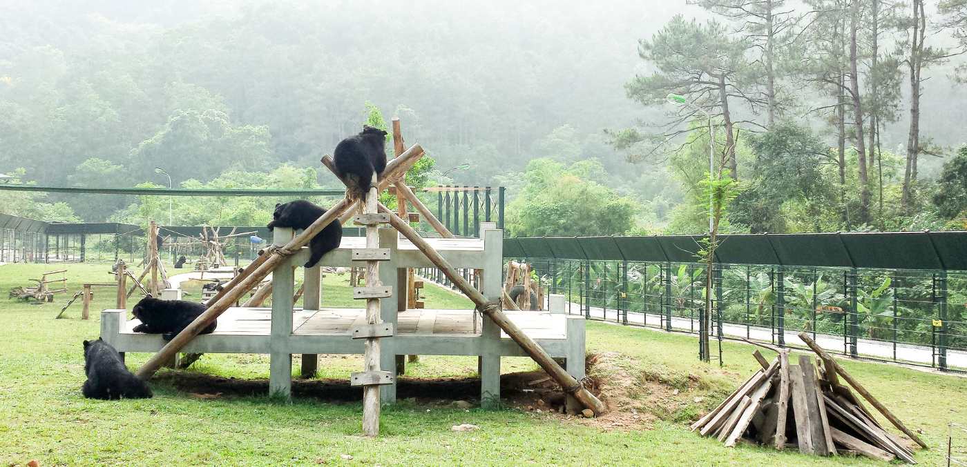 Tam Dao Bear Sanctuary