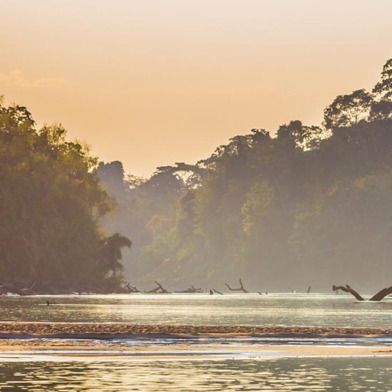 Manu National Park, Peru