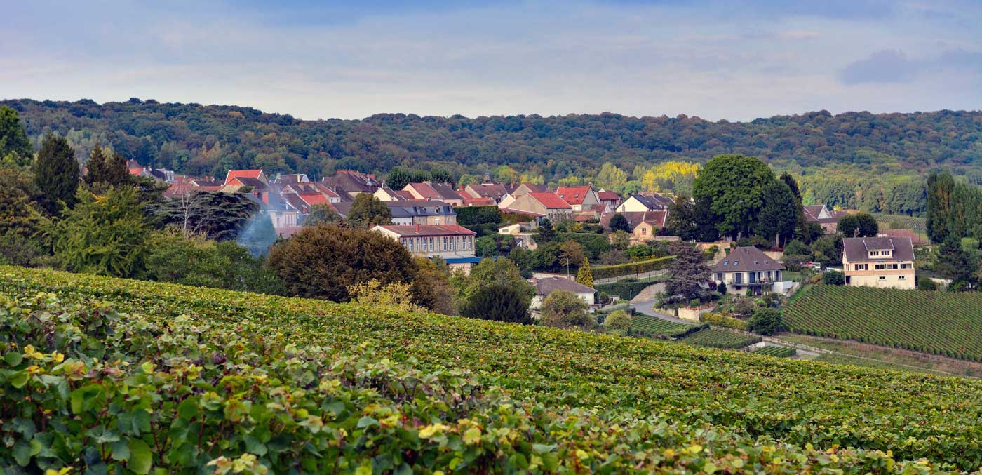 france champagne region hautvillers vineyards
