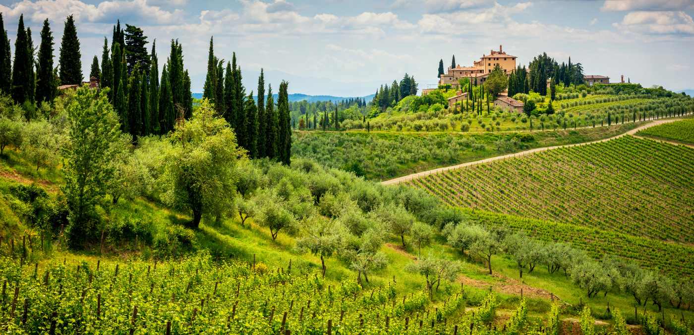 Chianti region in Tuscany