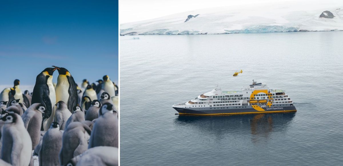 Emperor Penguins Snow Hill + Helicopter_in_Landscape_michellesole.