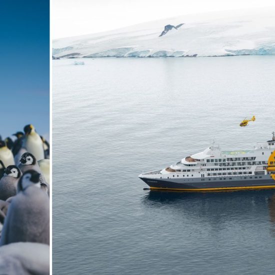 Emperor Penguins Snow Hill + Helicopter_in_Landscape_michellesole.