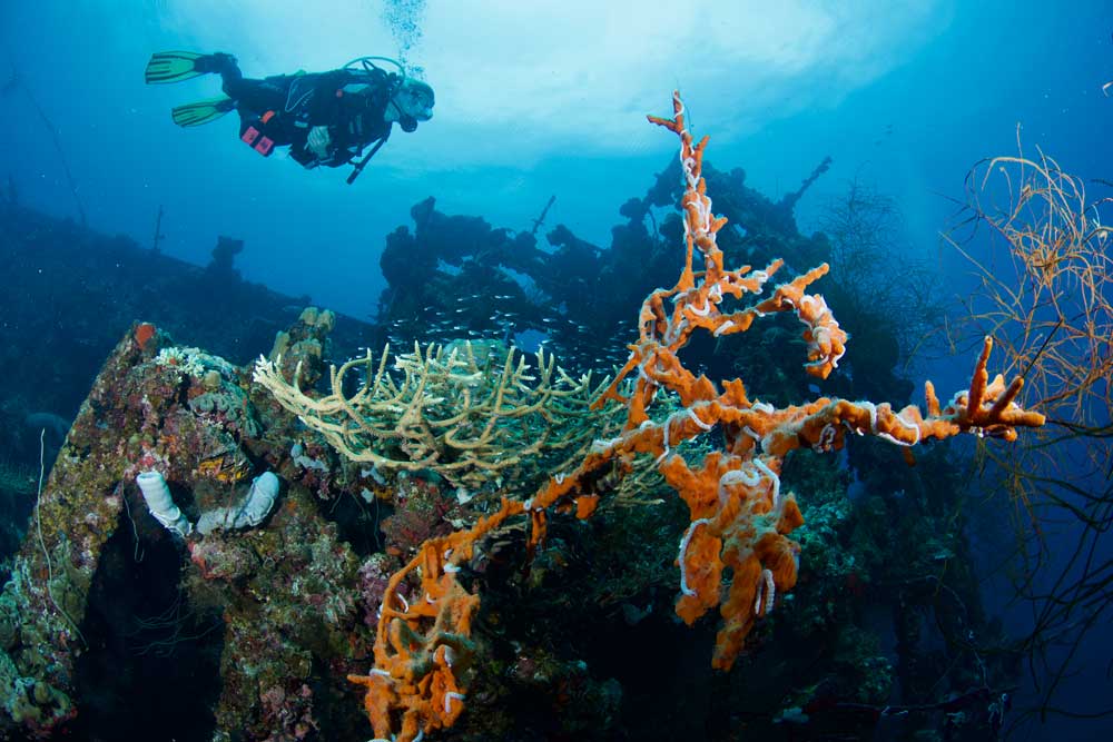 Diving at a WWII wreck in Palau