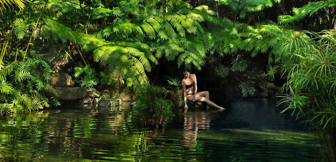 The Farm at San Benito