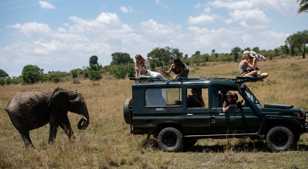 On safari with Black Saddle_an extraordinary travel experience must-do