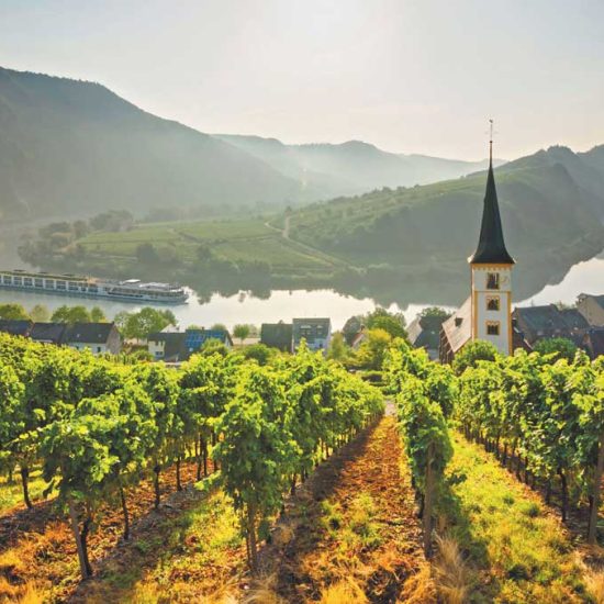 See vineyards in Germany on a Scenic European river cruise