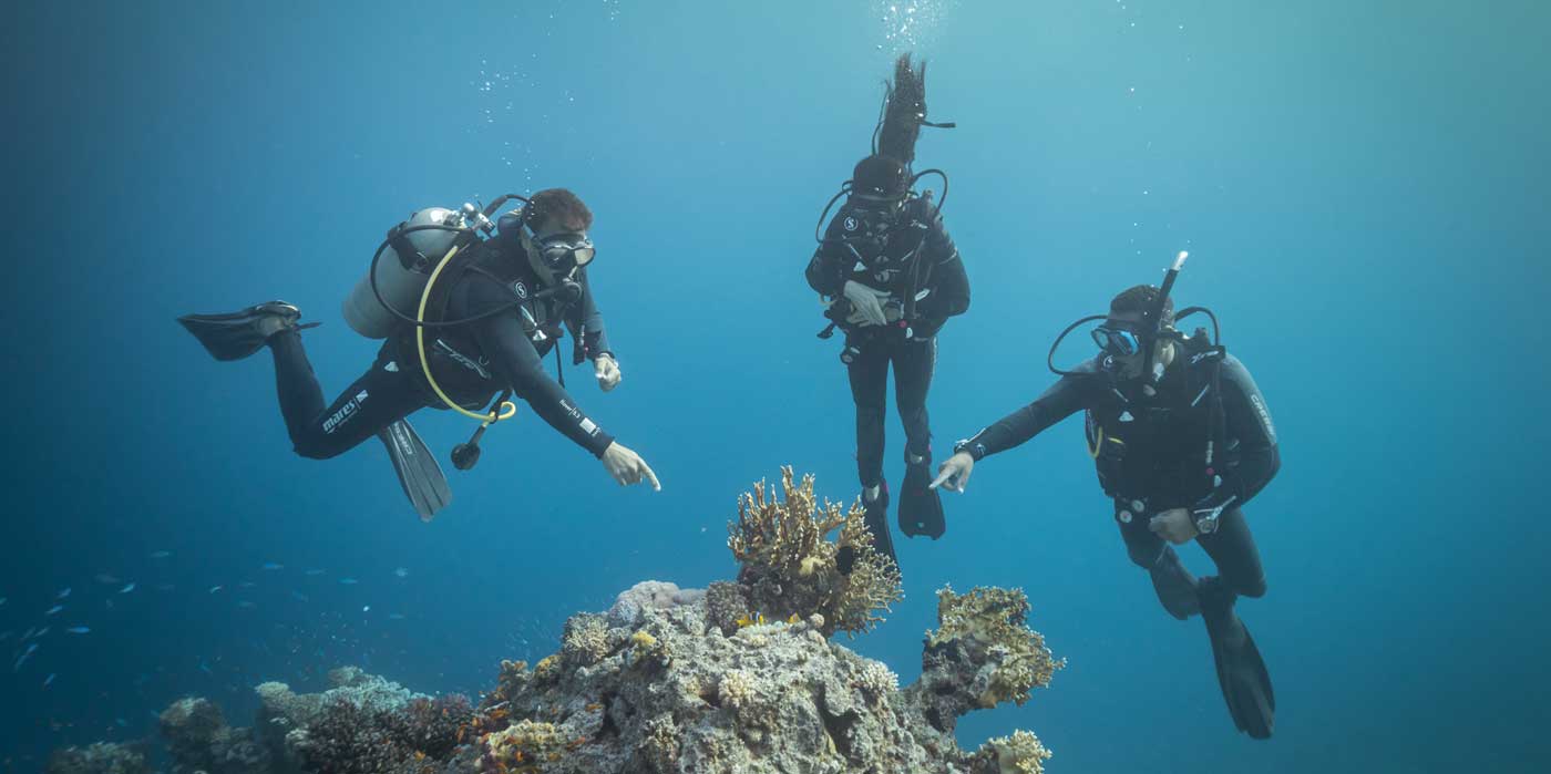 Diving the in the Red Sea with Four Seasons