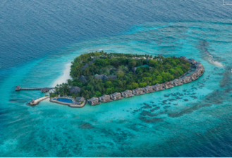 Vivanta by Taj – Coral Reef